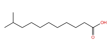 10-Methylundecanoic acid